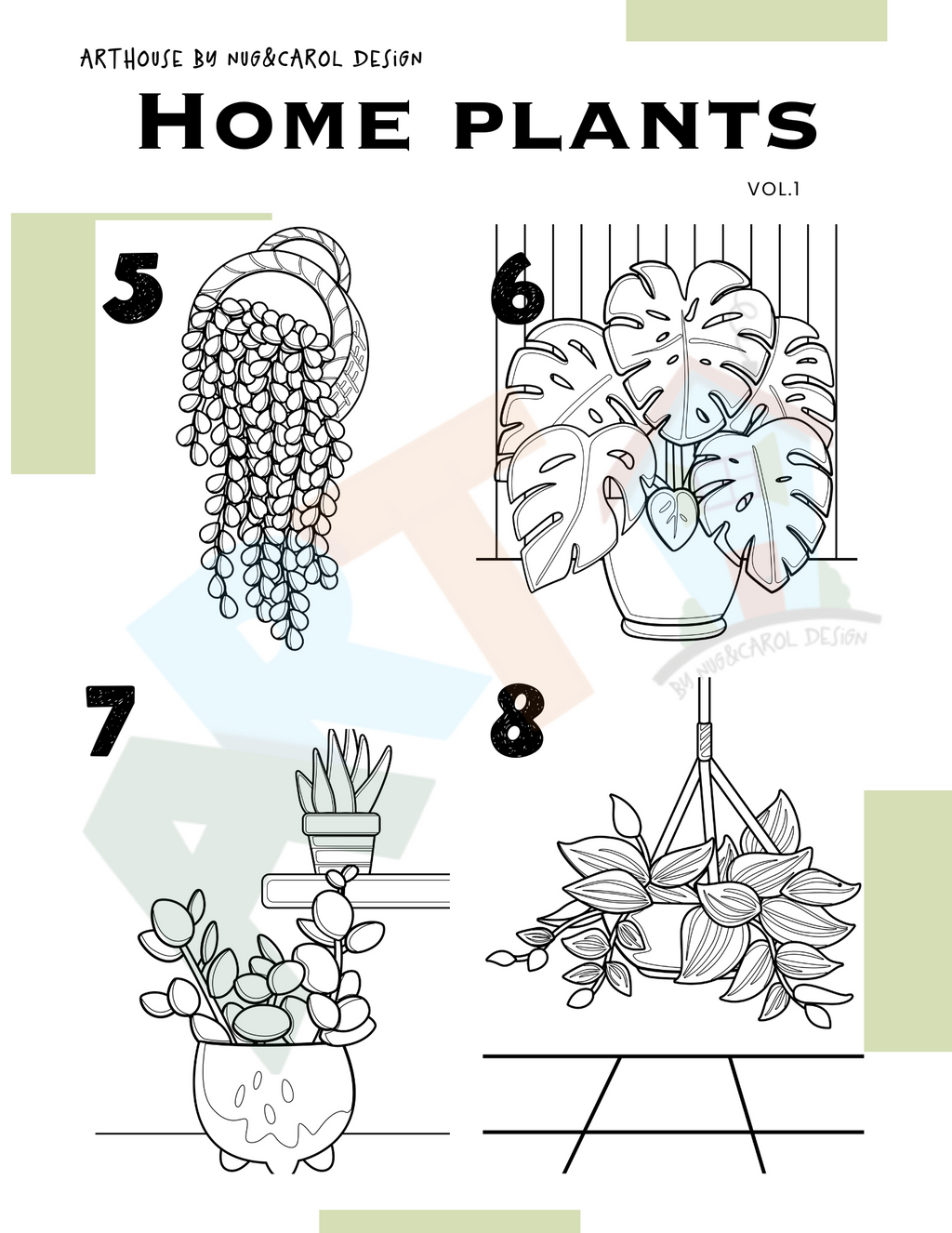 Gallery| Home Plants