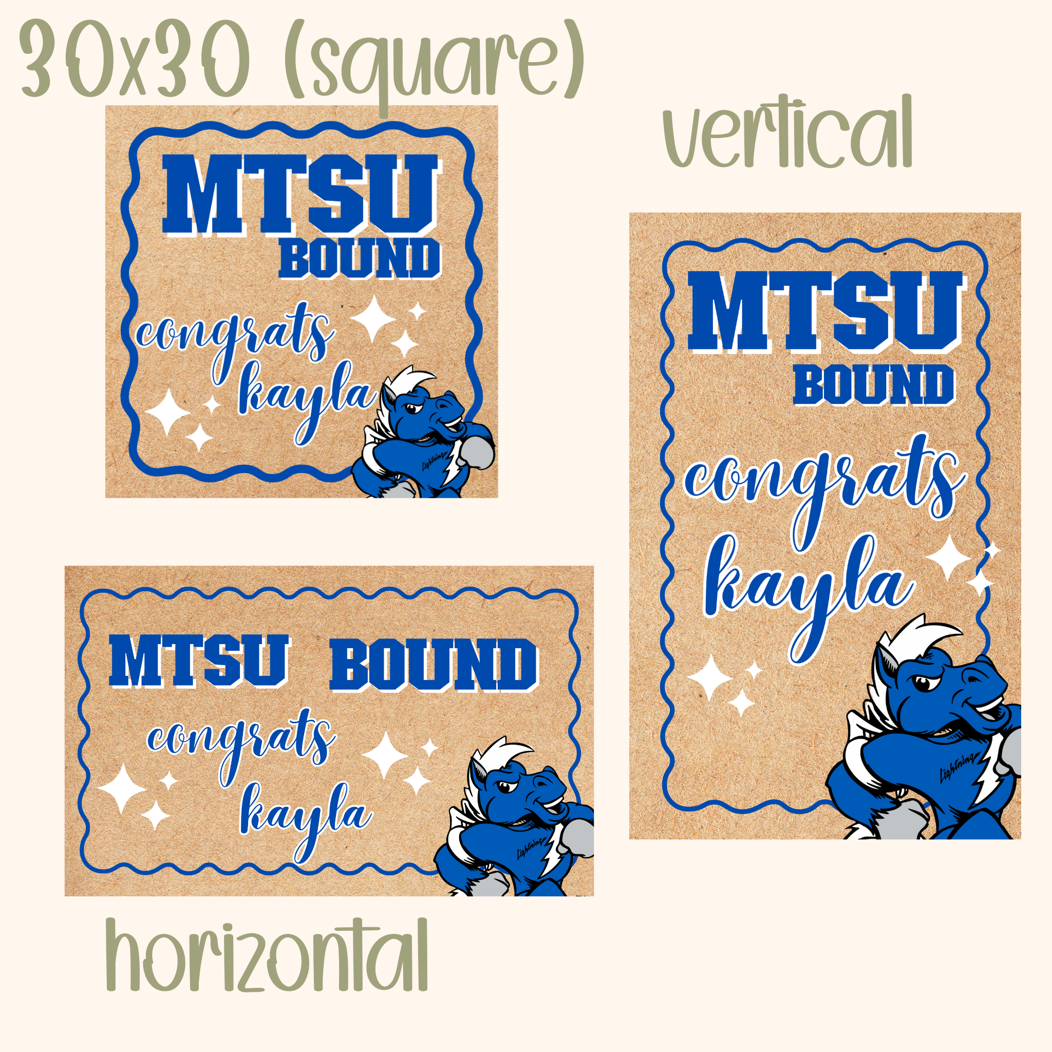 Custom Hand Painted Banner | College Bound